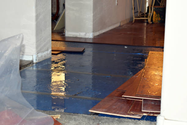Professional Burst Pipe Cleanup technician working in Mindoro, WI
